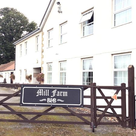Mill Farm B&B Great Ayton Extérieur photo