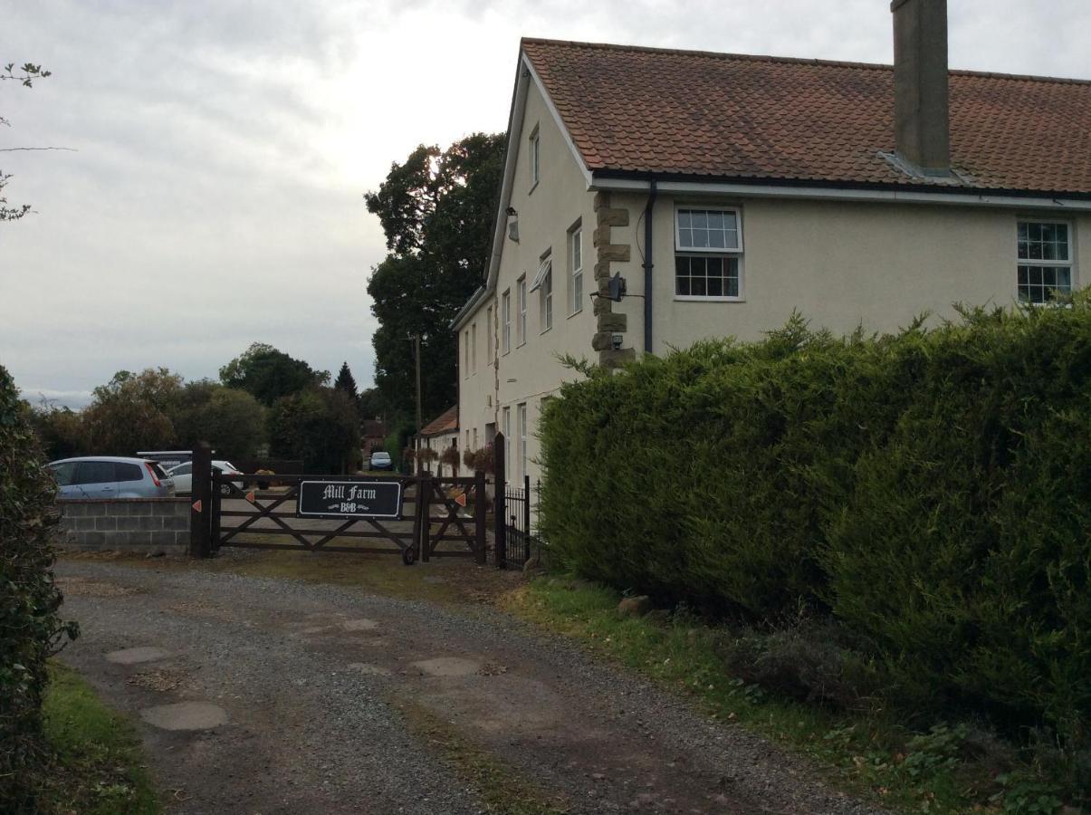 Mill Farm B&B Great Ayton Extérieur photo